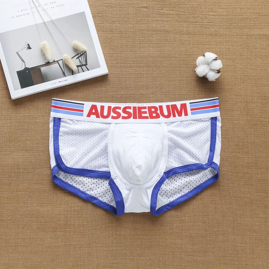 Summer Underwear Men Boxers Shorts Mesh Boxer Aussiebum Mens Panties Breathable Male Calzoncillos Convex U Pouch Man Underpants