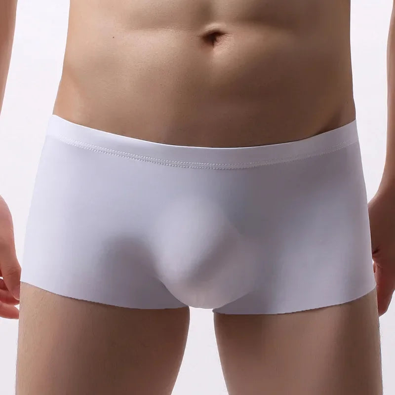 Men's Ice Silk Seamless Underwear Briefs Sexy U Convex Ultra-Thin Breathable Man Underpants Boxers