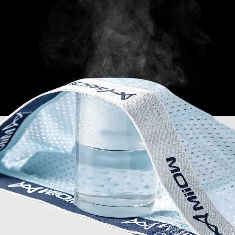 MiiOW 4Pcs Ice Silk Men Underwear Boxer 7A Antibacterial Crotch Men's Panties Breathable Mesh Man Underpants Sexy Boxer Briefs