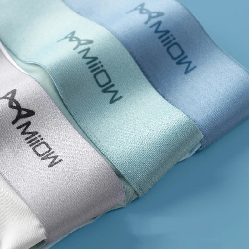 MiiOW 4Pcs Men Boxer Shorts Graphene Antibacterial Ice Silk Men Underwear Man Underpants Seamless Breathable Mens Panties L-5XL